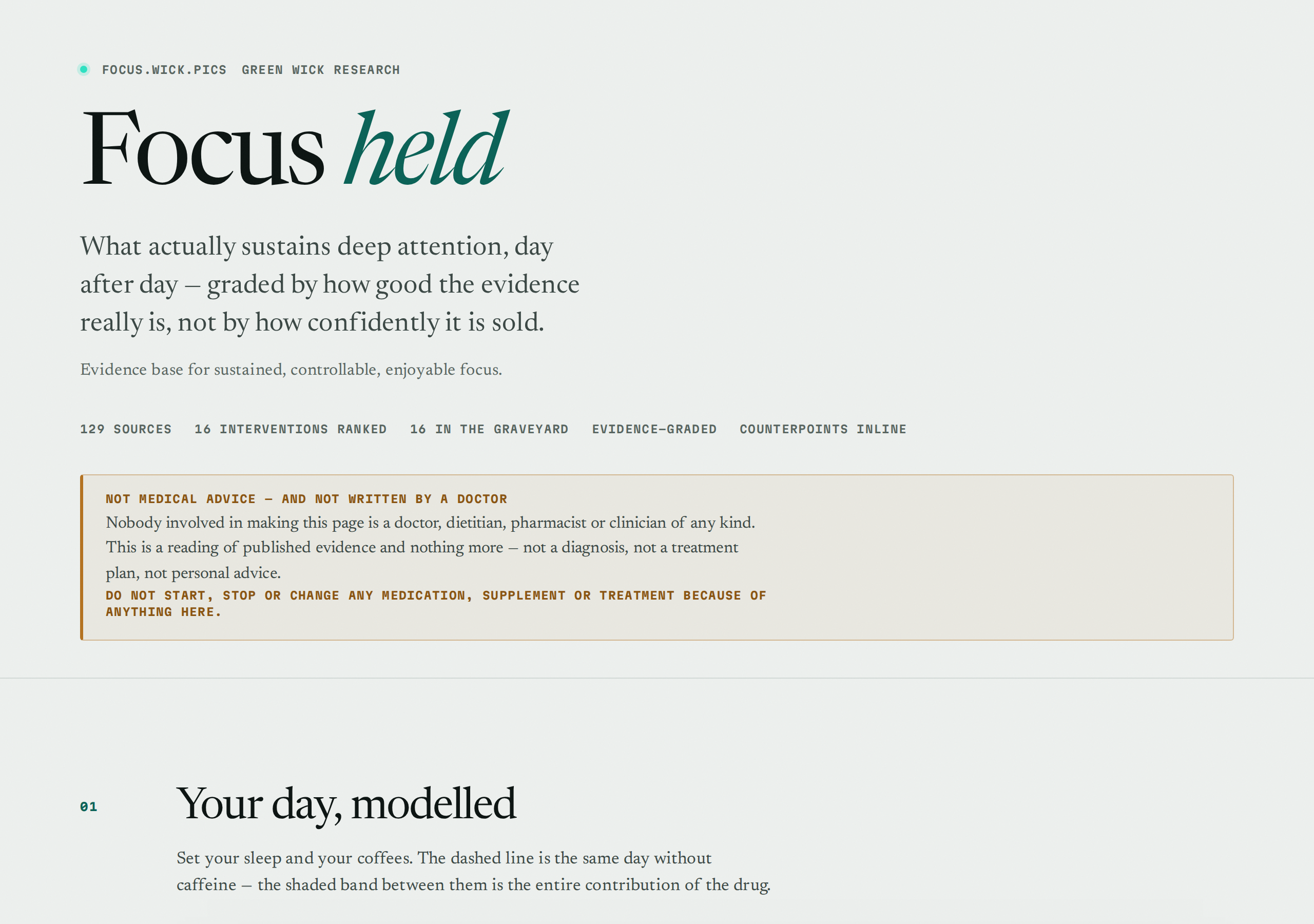 FOCUS — What Actually Sustains Attention